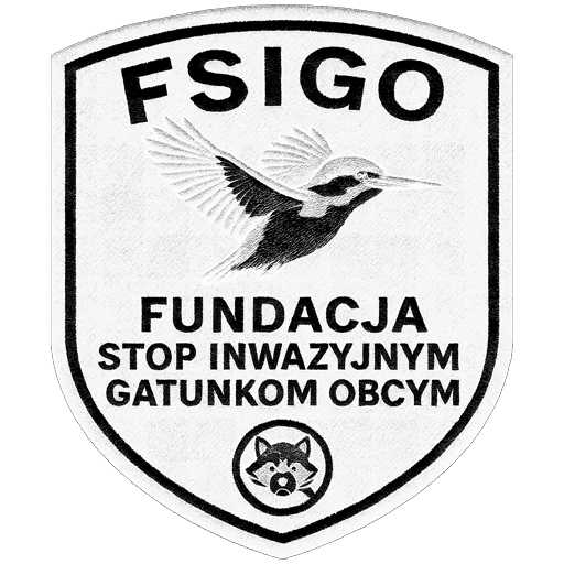 Fundacja FSIGO